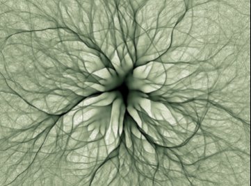 IN A DIFFERENT VEIN. This and the two richly branching images below show artistic renderings of simulated electron-flow paths in thin sheets of electrons. "Transport II," Heller